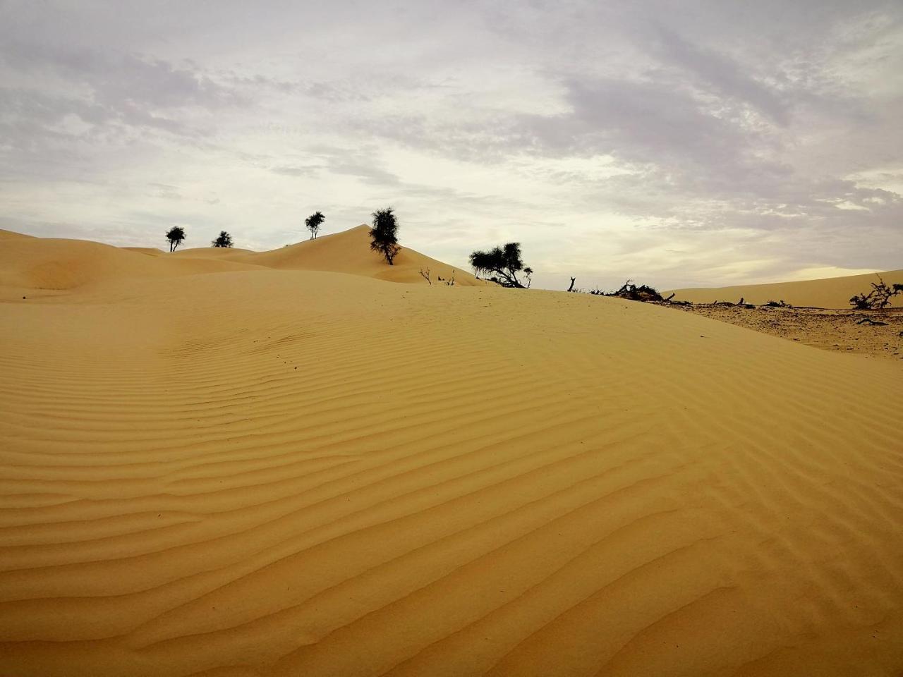 Queen Desert Camp Fulayj al Masha'ikh Kültér fotó